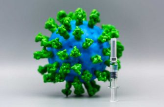 Две вакцины-кандидата против SARS-CoV-2 на основе мРНК, разрабатываемые компаниями Pfizer и BioNTech, получили одобрение FDA на ускоренную процедуру рассмотрения заявки на регистрацию